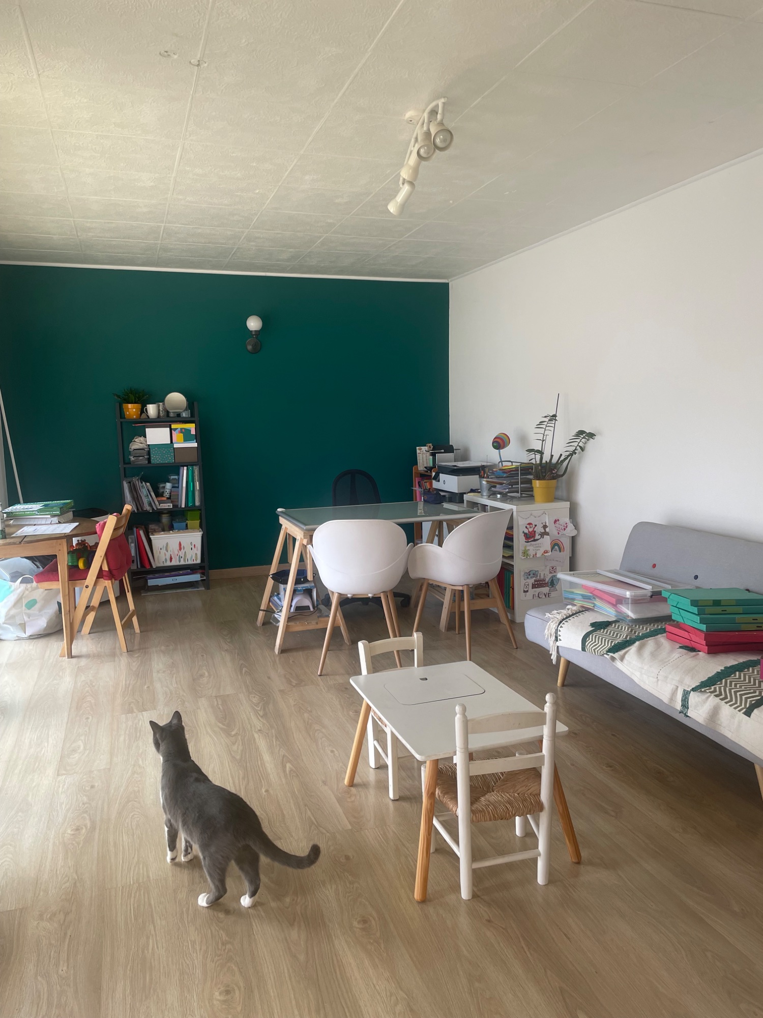 Photo 3 - Local professionnel