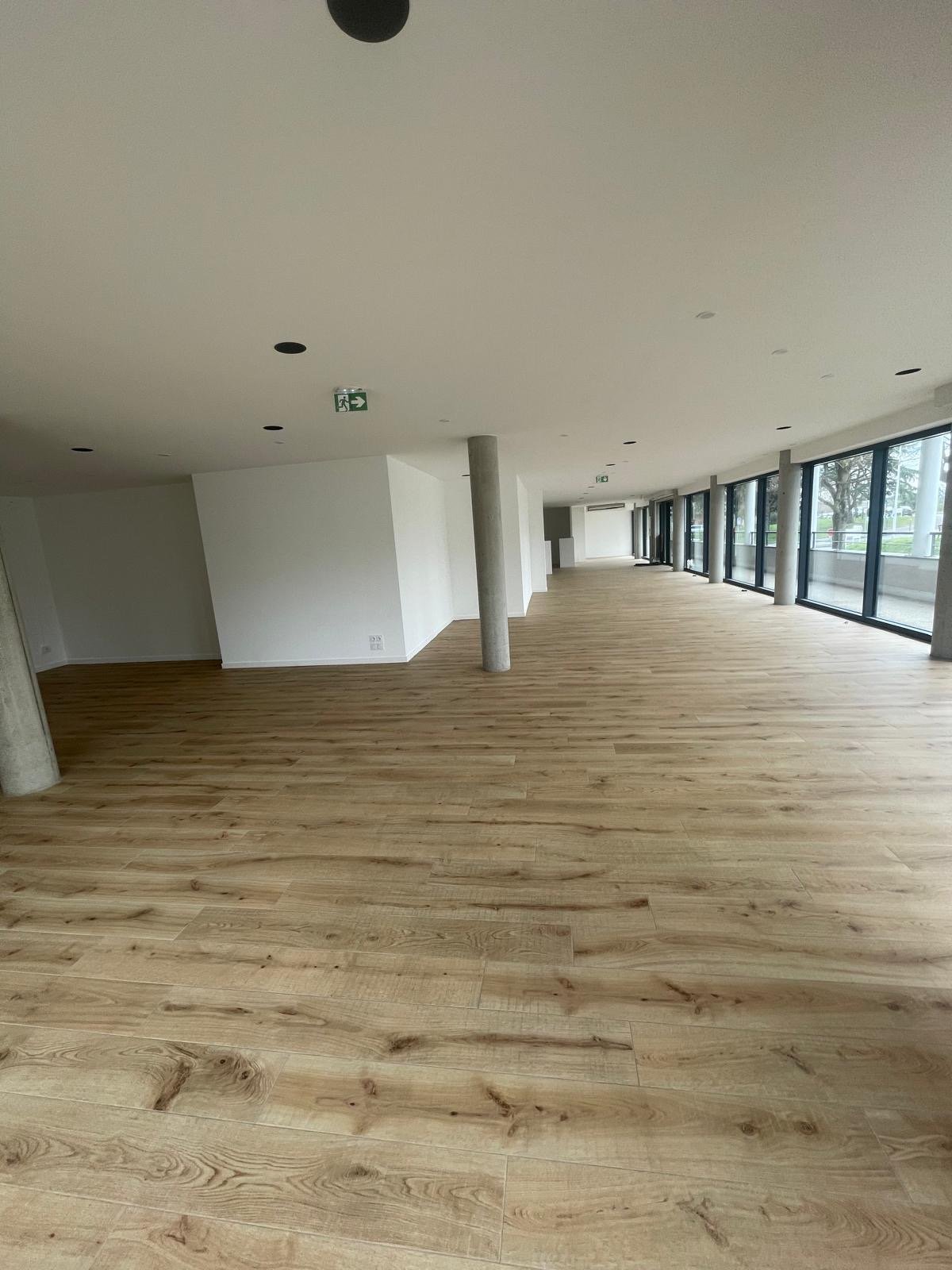 Photo 3 - LOCAL A ECULLY A LOUER OU A VENDRE